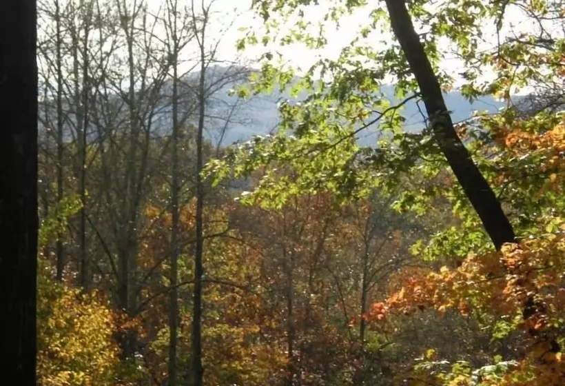 Turkey Feather Nevaeh Cabin Rentals