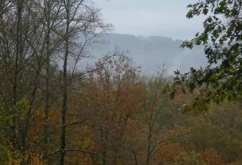 Turkey Feather Nevaeh Cabin Rentals