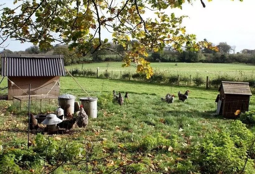 The Hayloft