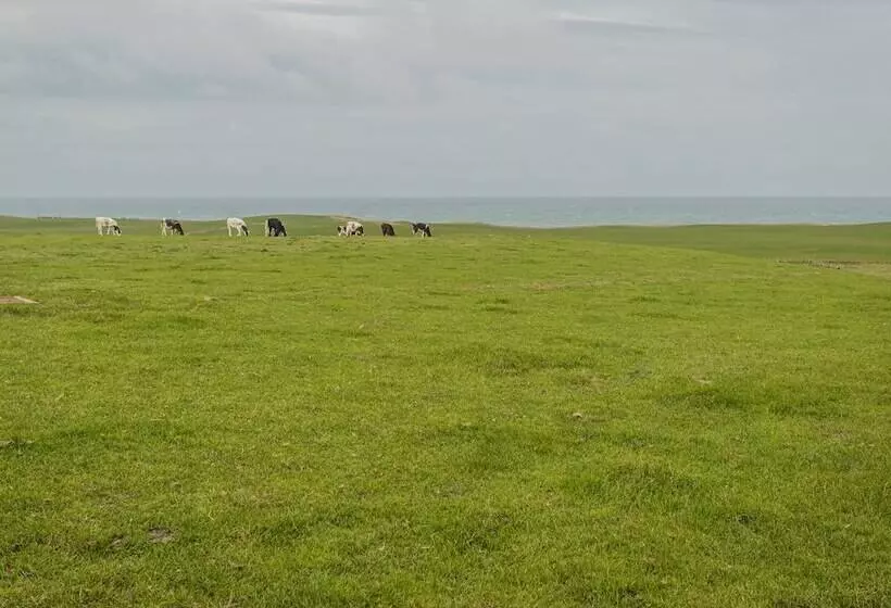 Corsewall Castle Farm Lodges