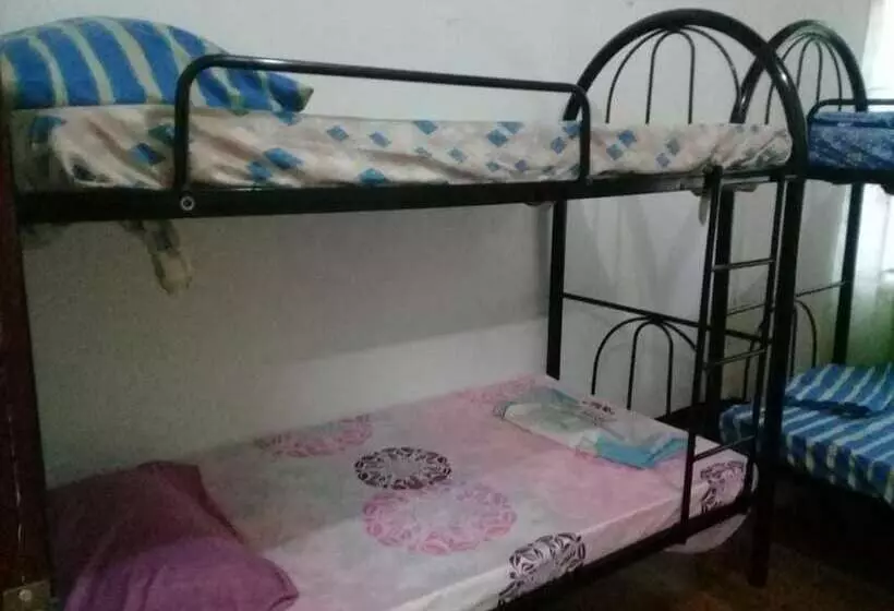 Hostal Los Primos Hostel