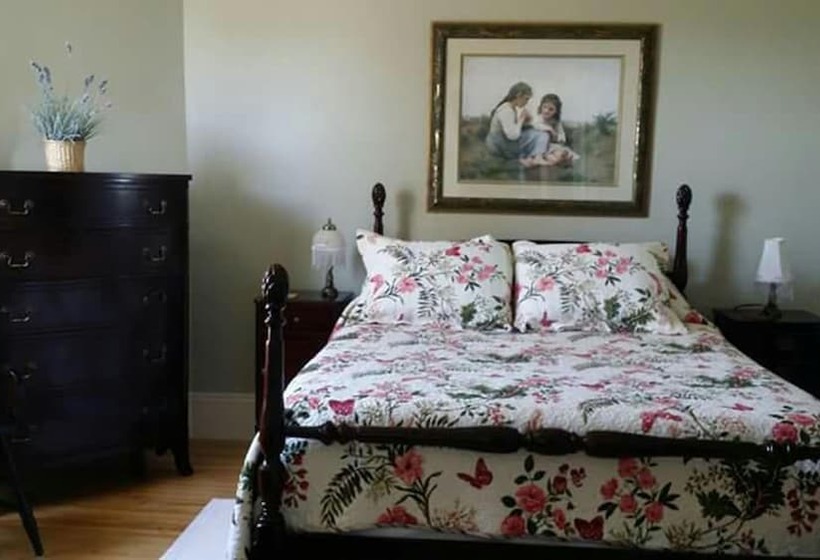 Bed and Breakfast Terra Bella By The Shore