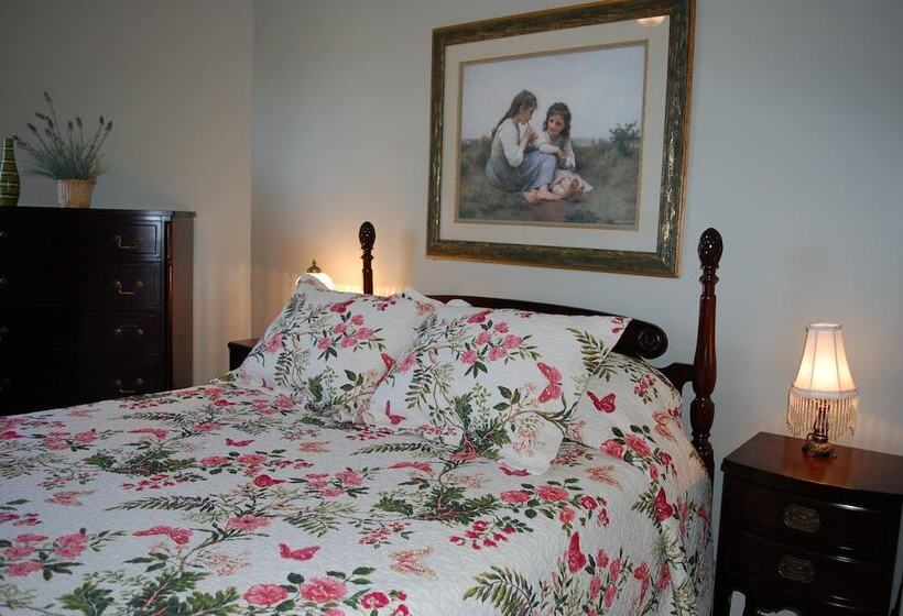 Bed and Breakfast Terra Bella By The Shore