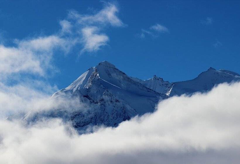 בית מלון כפרי Alpha