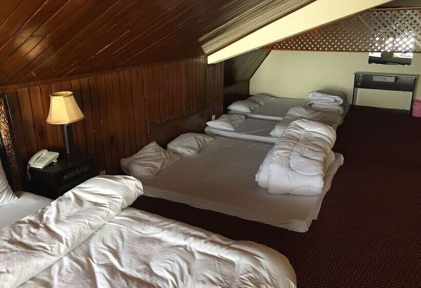 هتل Daisy Dot Murree