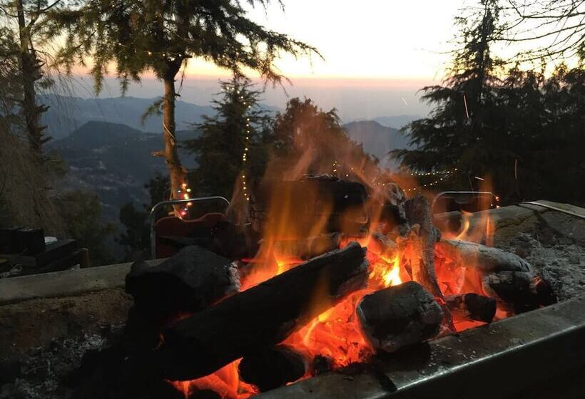 هتل Daisy Dot Murree