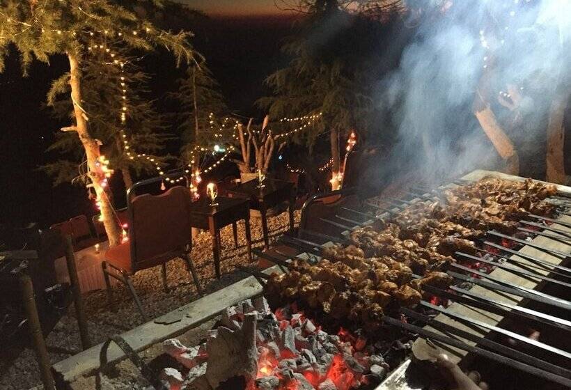 هتل Daisy Dot Murree