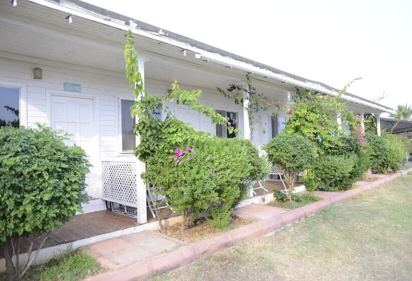 酒店 Grand Ada Family