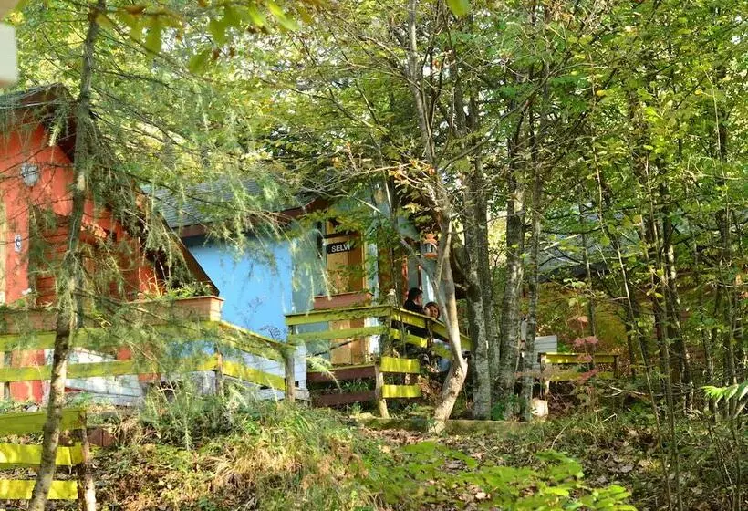 ホテル Karaca Dag Evleri