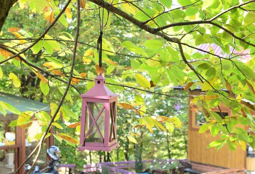 酒店 Karaca Dag Evleri