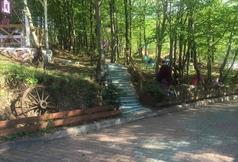 ホテル Karaca Dag Evleri