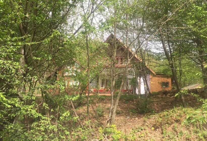 酒店 Karaca Dag Evleri