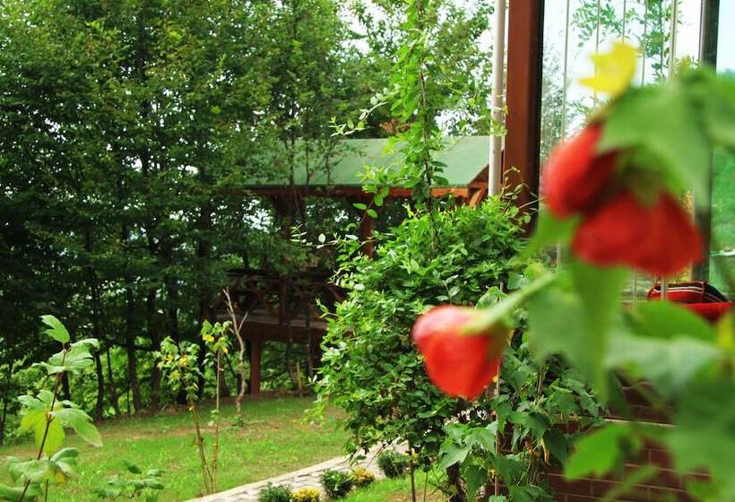 酒店 Karaca Dag Evleri