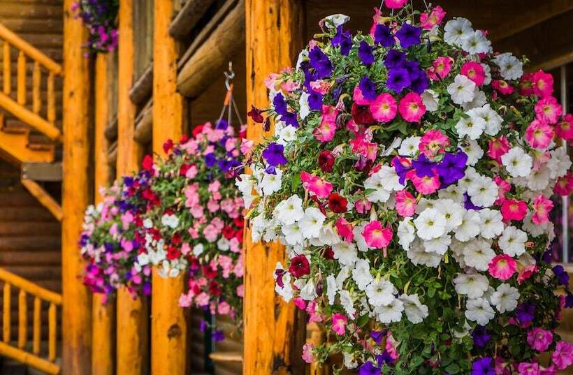 فندق River Lodge