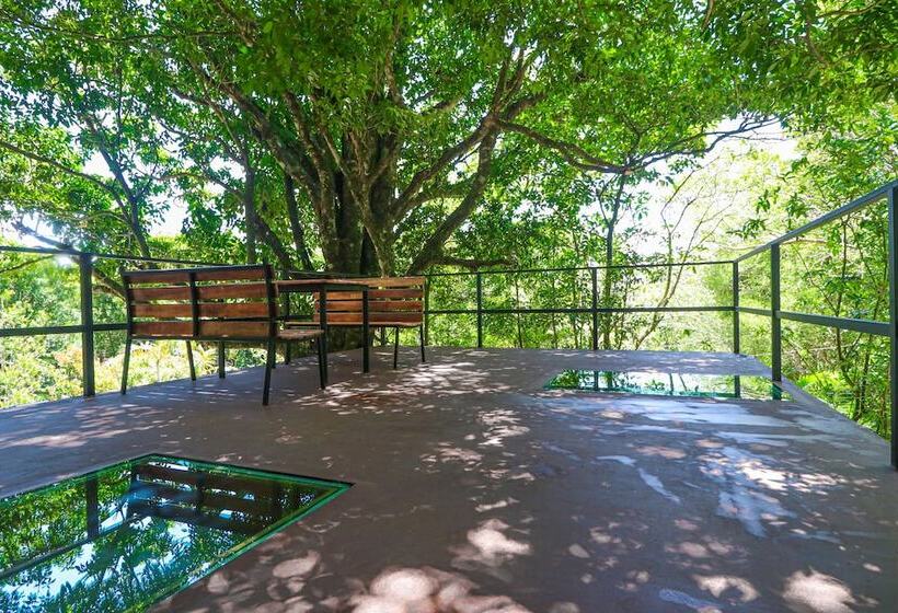 La Casa De La Montaña B&b