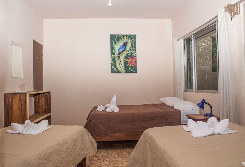 La Casa De La Montaña B&b