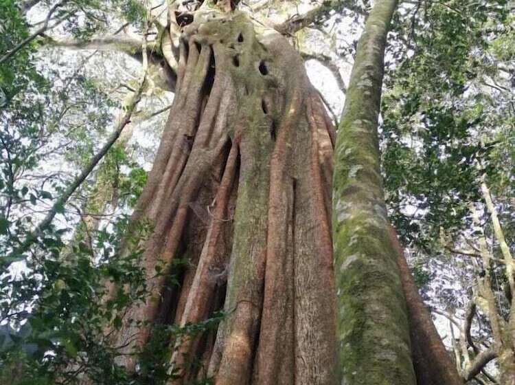 La Casa De La Montaña B&b