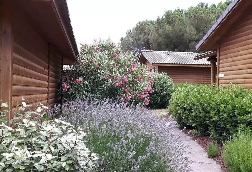 اقامتگاه Les Hauts De Baldy