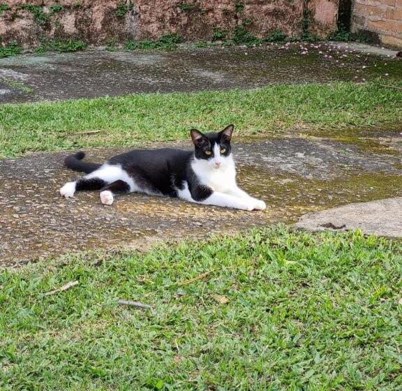 旅馆 Guest House Ilhabela Cocaia