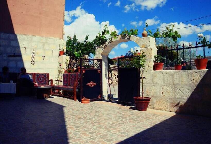 Ali S Guest House   Hostel