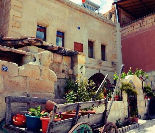 Ali S Guest House   Hostel