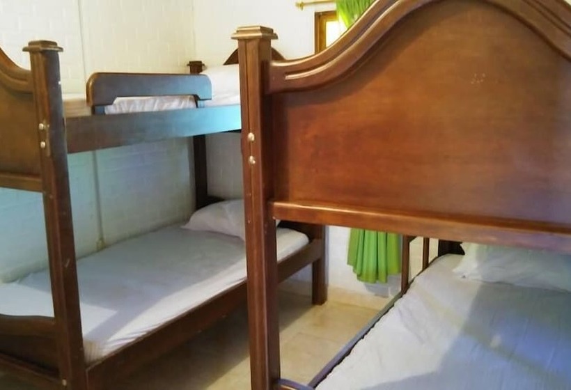 Antioquia Viva Hostel