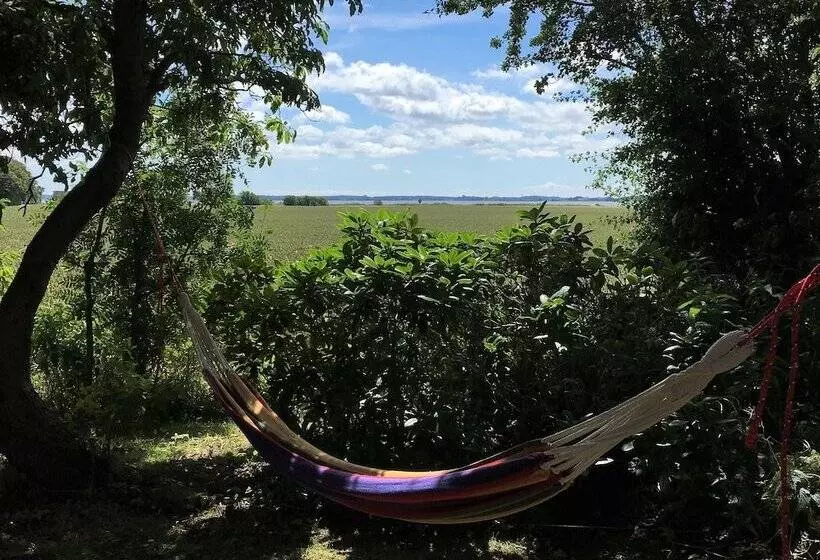 Askø Bed & Breakfast