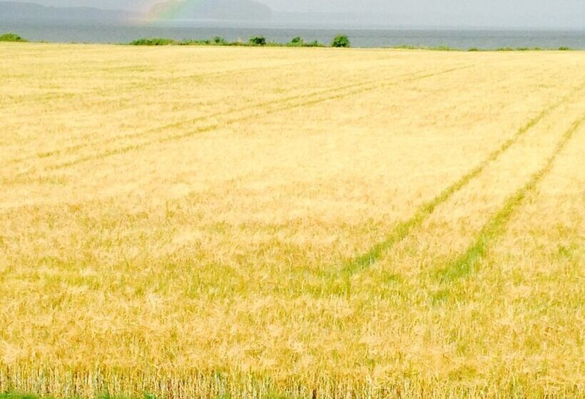 Askø Bed & Breakfast