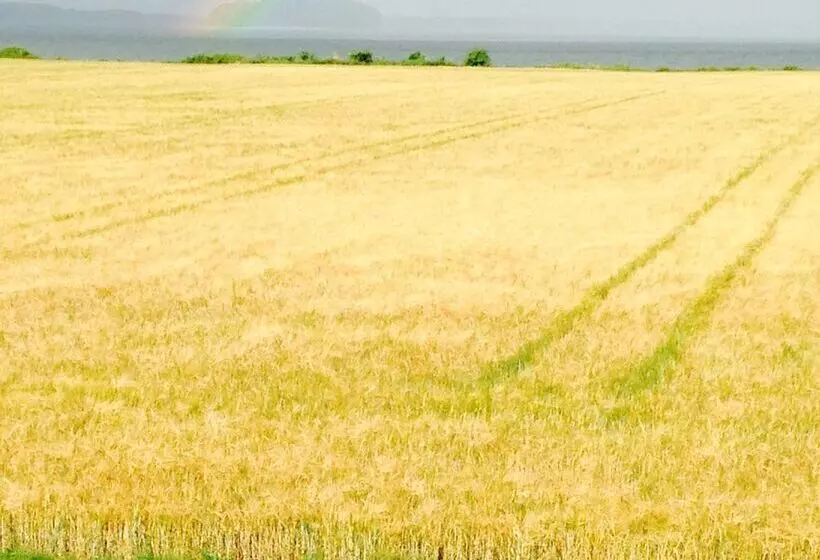 Askø Bed & Breakfast