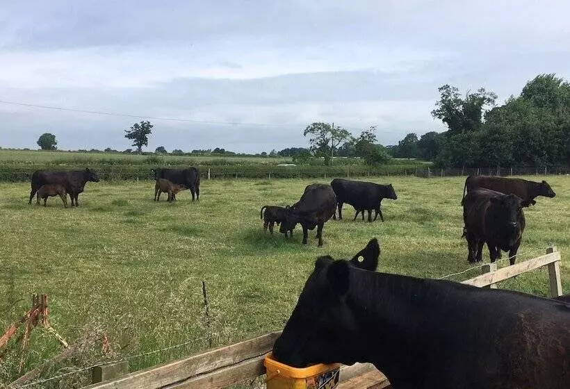 Aamiaismajoitus (B&B) Marsh Farm