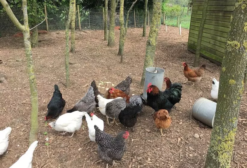 Aamiaismajoitus (B&B) Marsh Farm