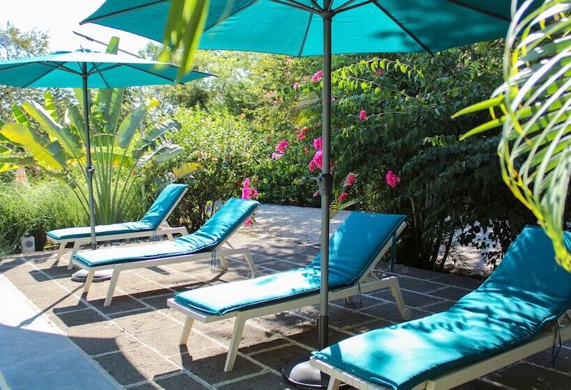 تختخواب و صبحانه Tee K Lodge