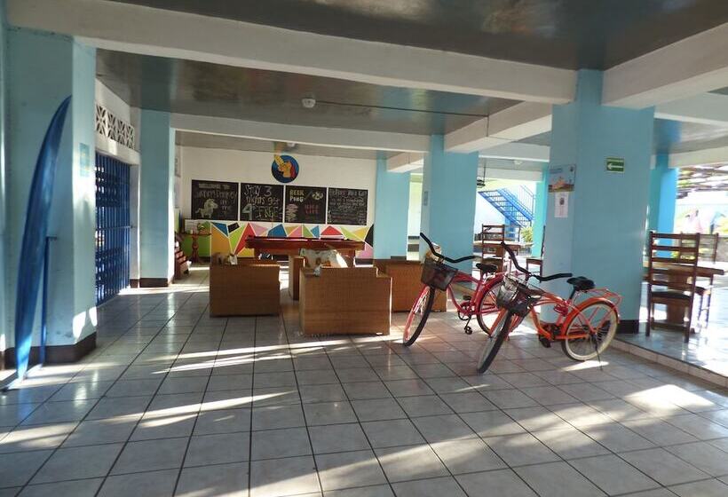 Hostal Surfing Donkey At The Lake Hostel