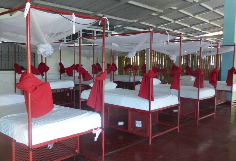 Hostal Surfing Donkey At The Lake Hostel