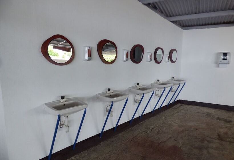 Hostal Surfing Donkey At The Lake Hostel