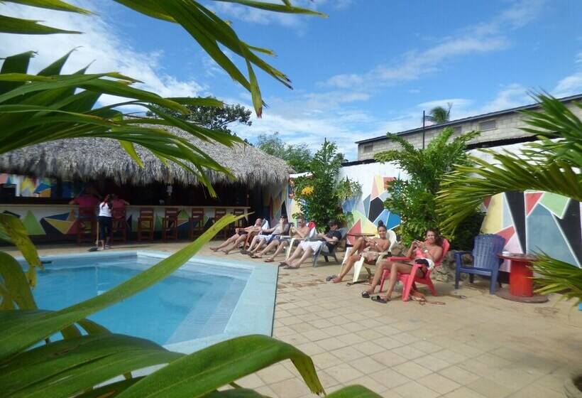 Hostal Surfing Donkey At The Lake Hostel