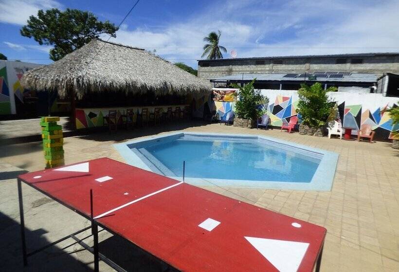 Hostal Surfing Donkey At The Lake Hostel