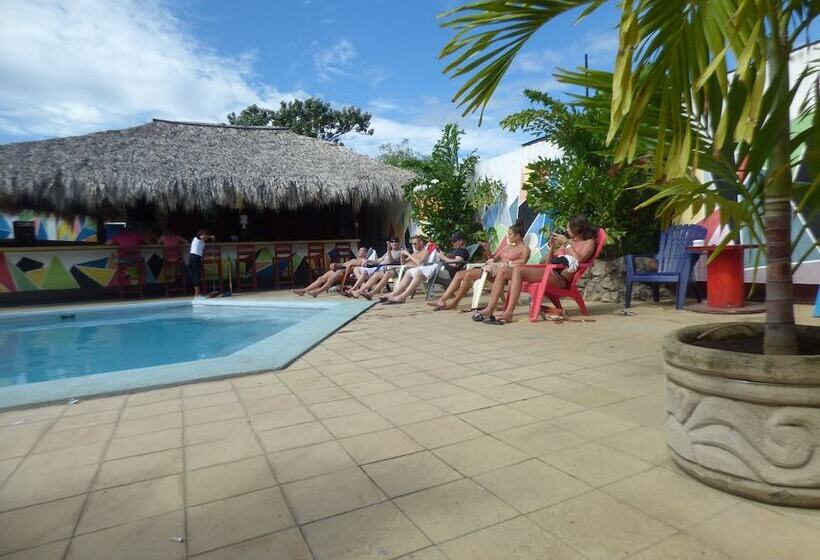 Hostal Surfing Donkey At The Lake Hostel