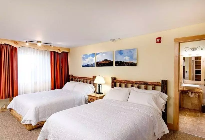 Hotelli Adirondack Spruce Lodge