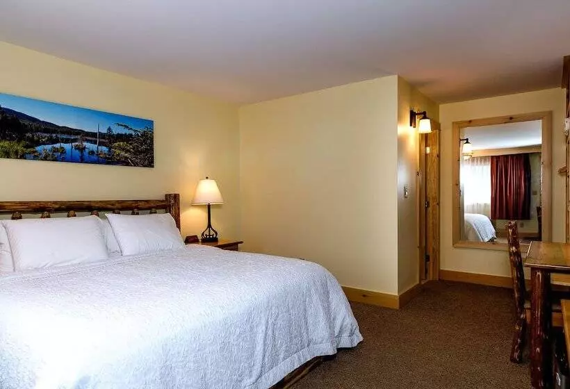 Hotelli Adirondack Spruce Lodge