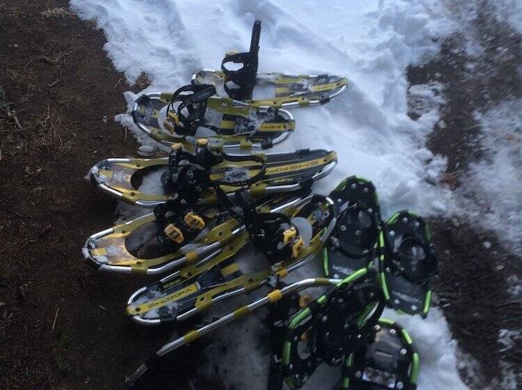 בית מלון כפרי Adirondack Spruce Lodge