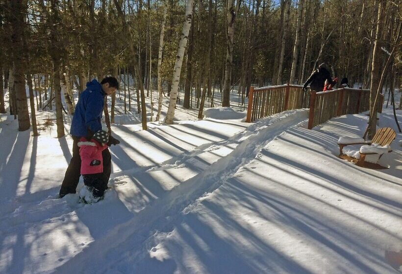 בית מלון כפרי Adirondack Spruce Lodge