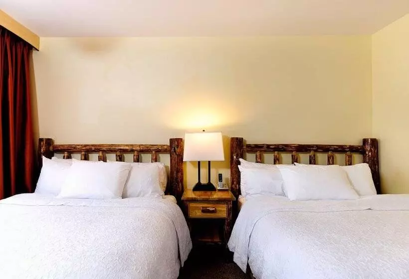 Hotelli Adirondack Spruce Lodge