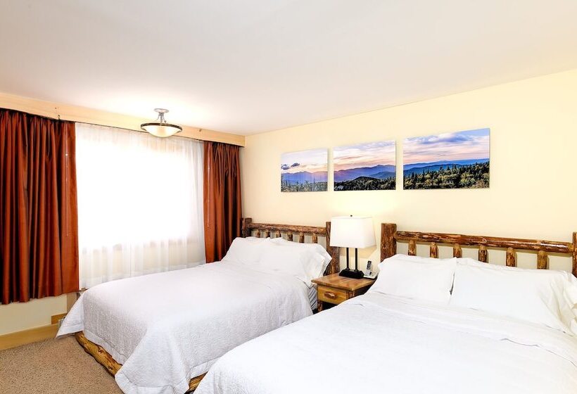 בית מלון כפרי Adirondack Spruce Lodge