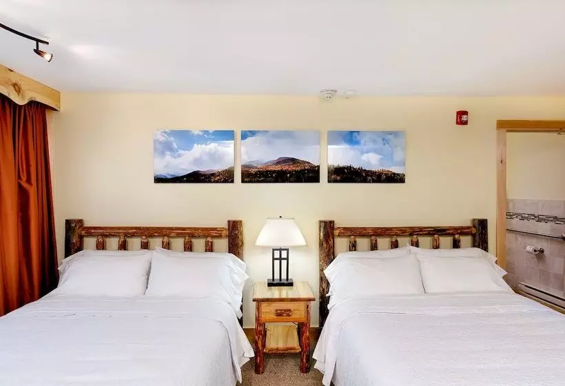 Hotelli Adirondack Spruce Lodge