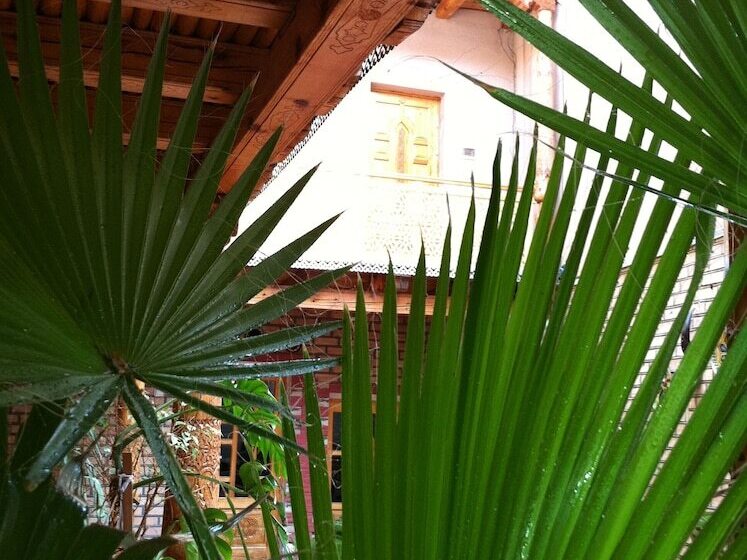 هتل Amelia Boutique