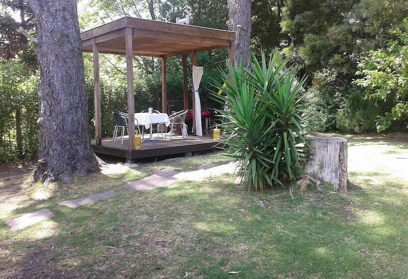 فندق Cable A Tierra