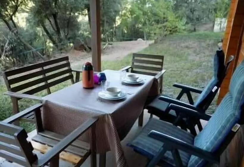 Hotelli Camping Manso Coguleras