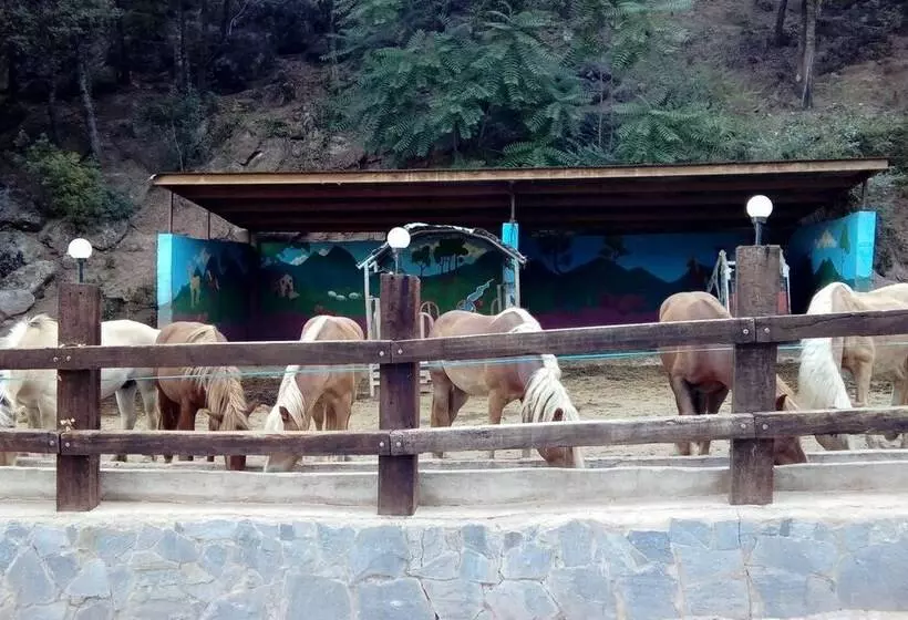 Hotelli Camping Manso Coguleras