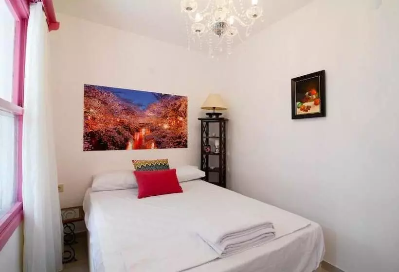 Hotelli Kiraz Cicegi Butik Akyaka